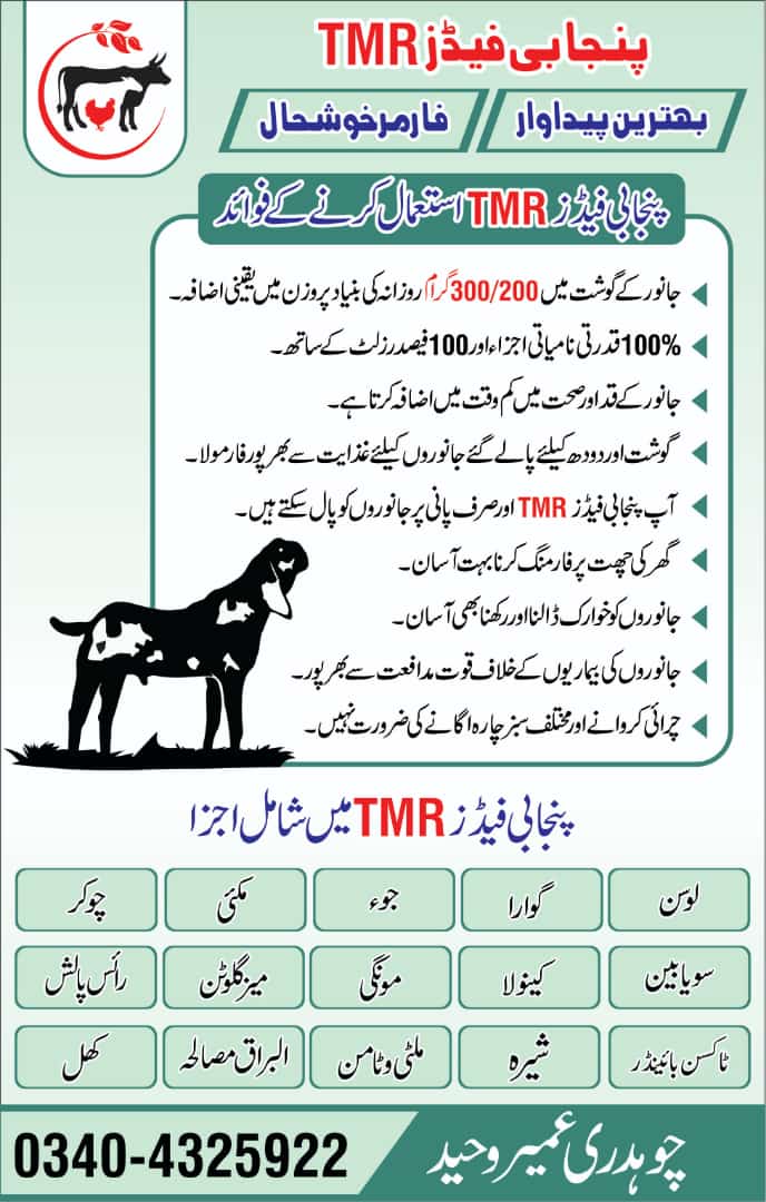 punjabi feeds tmr (total mix ration) 30 kg