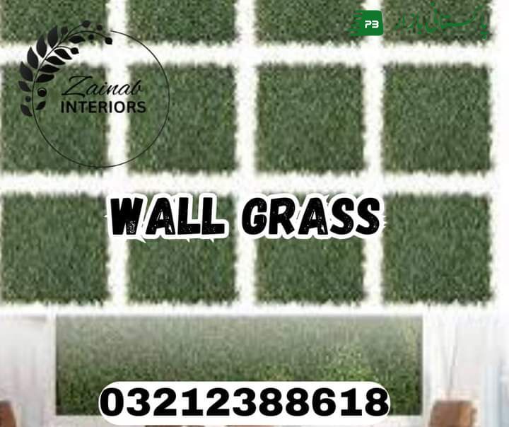 Wall grass