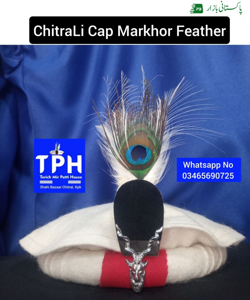 ChitraLi Cap With Markhor Feather