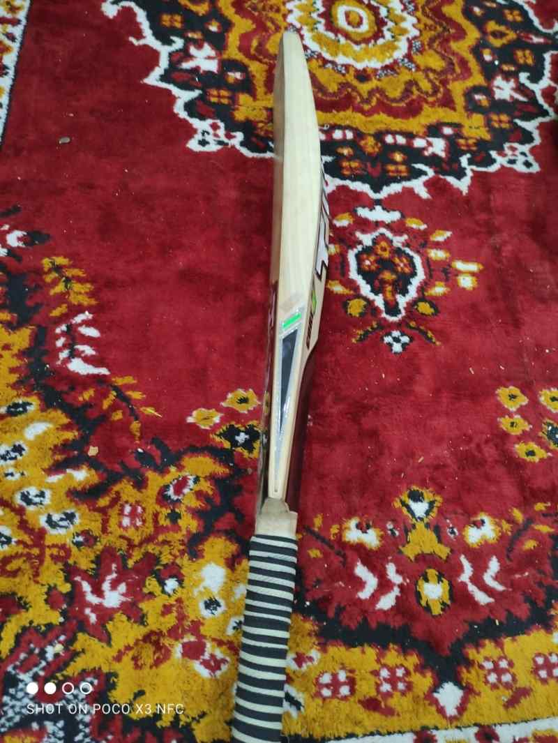 EXPORT QUALITY Hard Ball cricket Bat is for sale